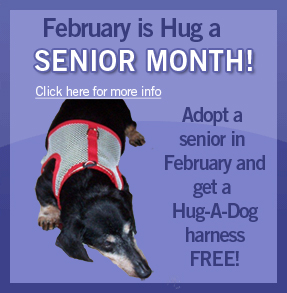 Hug-A-Senior Month