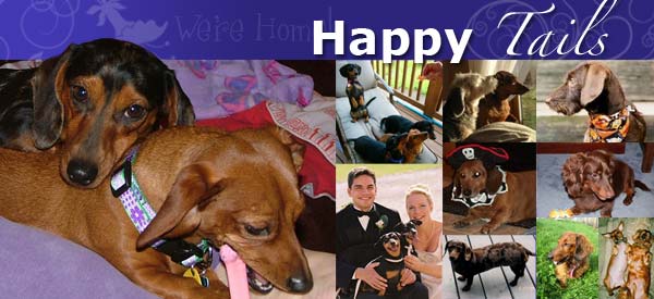 Happy Tails Stories