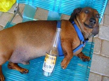 Rusty, enjoying the good life!