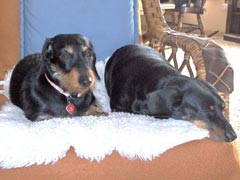 Lisel and Willie