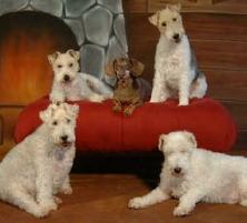Amani and friends