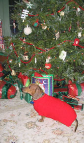 Christmas Angel