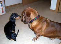 Big Max and his sister