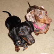 Cody and Holly
