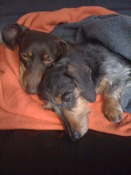 Naptime