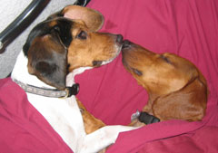 Durham Kissy