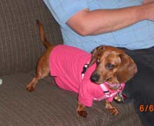 ginger dressed