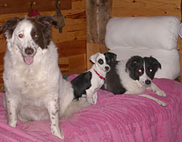 gretchen and family