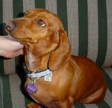 Gwinnie