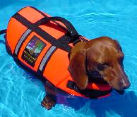 Gwinnie swimming