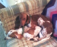 Layla and Gracie