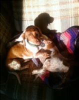 Layla and Gracie