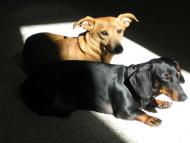 Heidi and Max