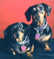 Heidi and Chloe