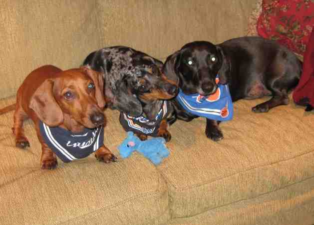 My Three Sons
