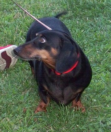 Jack C.