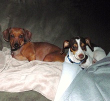 Kona with Molly