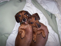 Max and Minnie