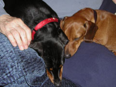 Molly and Kadee