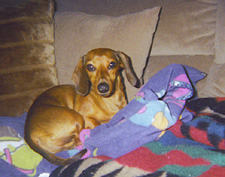 Otto