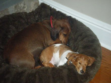 Rusty and Frank