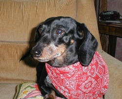Sally