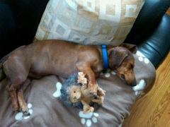 Sousa sleeps