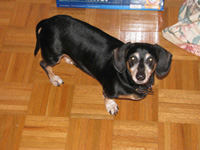 Stanley