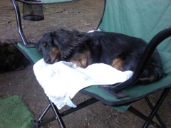 Swiffer at rest