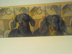 Chloe and Swiffer