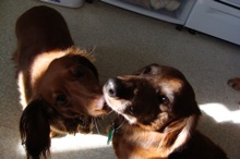 Phoebe kissing