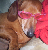 Hank