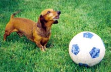 Jake as a youngster
