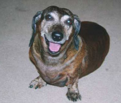 Oscar T