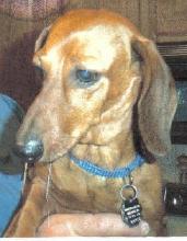 Penny